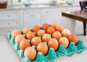 onde comprar ovos para revender